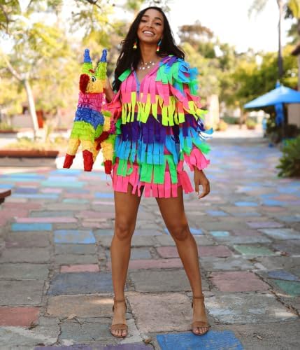Women's Halloween Costume - Hooded Long Sleeve Dress