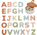 Silicone Alphabet Magnetic Letters, 26 Uppercase ABC Fridge Magnets for Toddlers & Kids, Preschool Learning Refrigerator Toy Set, Birthday Gifts for Boys Girls (Muted Color)