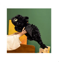 55/70CM Cute Little Dragon Plush Toy – Soft Cartoon Anime Stuffed Animal Doll, Sofa Bed Pillow Cushion, Kids Christmas & Birthday Gift