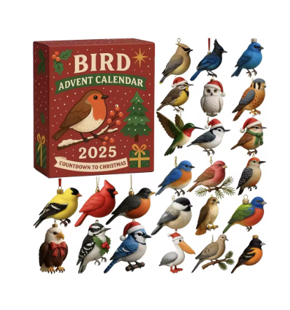 Christmas Advent Calendar 2025 – 24 Days Bird Ornament Countdown, 2D Flat Acrylic Holiday Decoration Set for Men, Women, Girls, Teens & Wife Gift