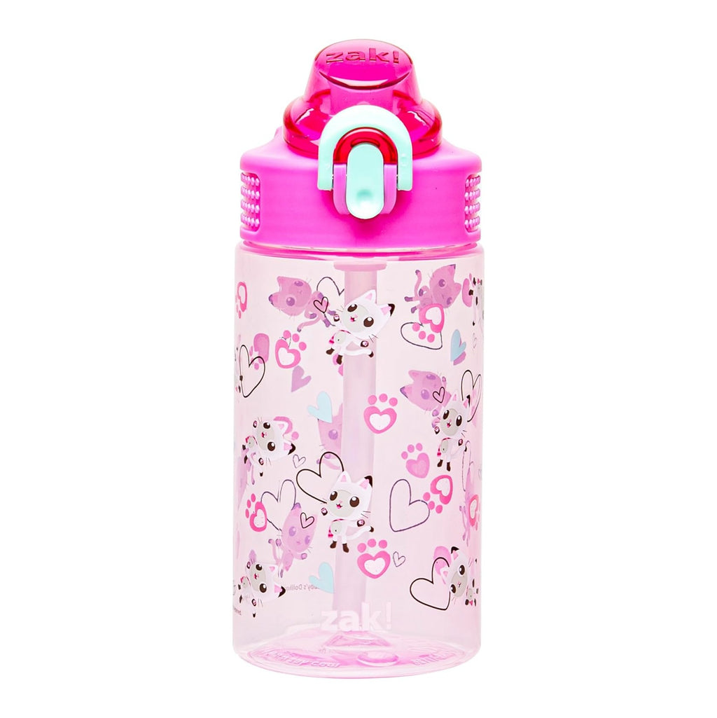 DreamWorks Gabby's Dollhouse Sage Water Bottle For School or Travel, 16oz Durable Plastic Water Bottle With Straw, Handle, and Leak-Proof, Pop-Up Spout Cover (Pandy Paws)