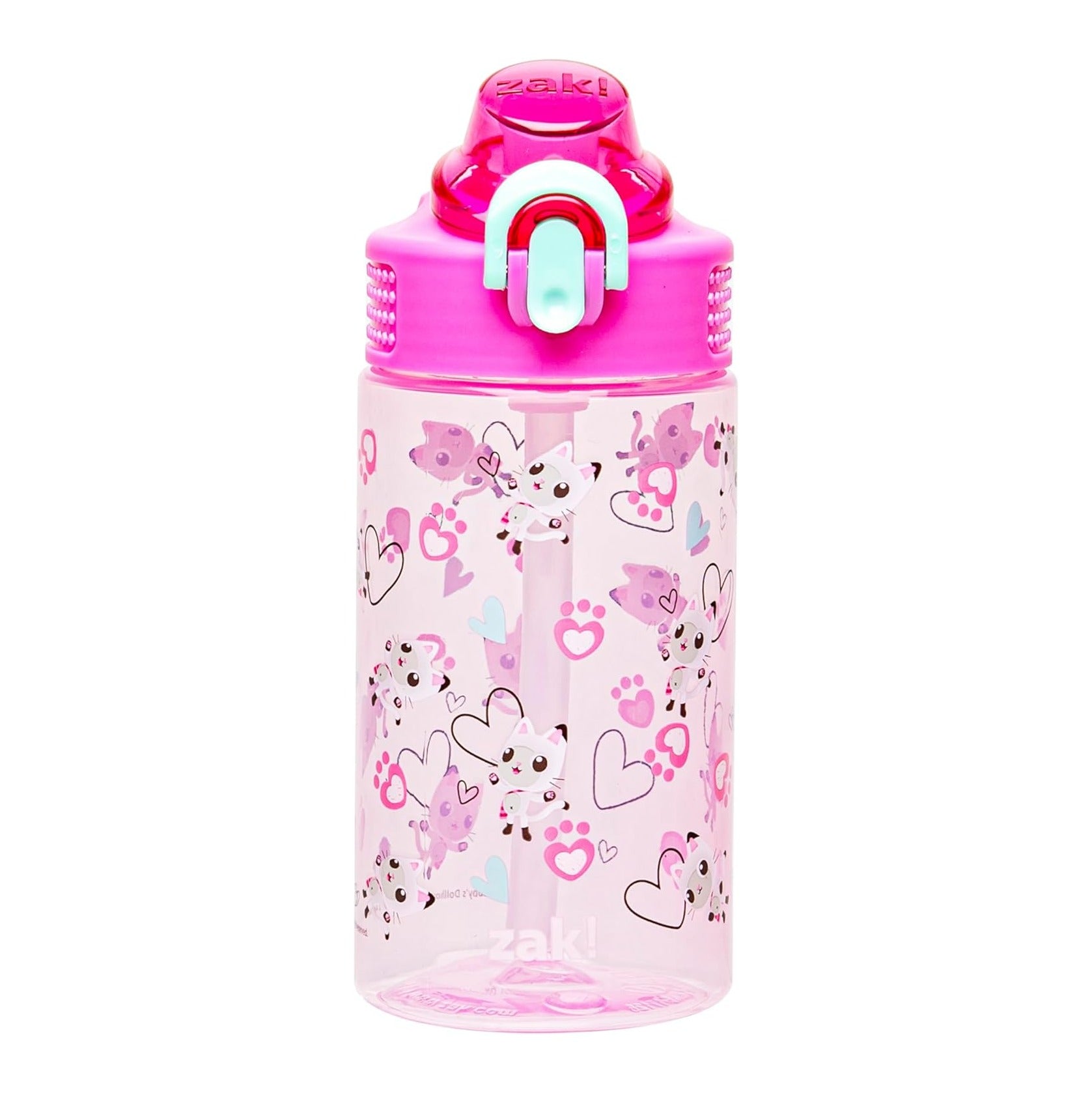 DreamWorks Gabby's Dollhouse Sage Water Bottle For School or Travel, 16oz Durable Plastic Water Bottle With Straw, Handle, and Leak-Proof, Pop-Up Spout Cover (Pandy Paws)