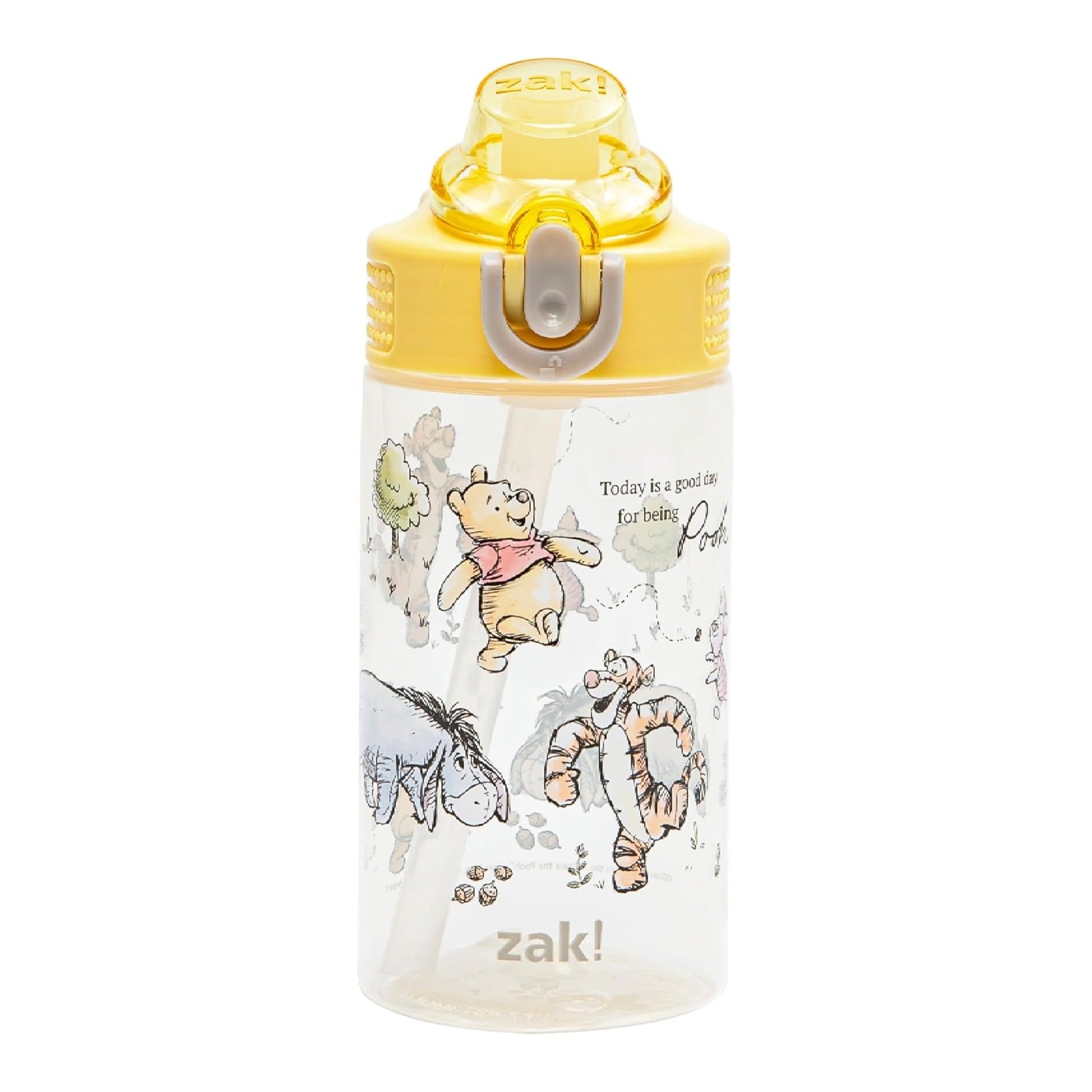 Disney Winnie the Pooh Sage Kids Water Bottle For School or Travel, 16oz Durable Plastic Water Bottle With Straw, Handle, and Leak-Proof, Pop-Up Spout Cover (Winnie the Pooh & Friends)